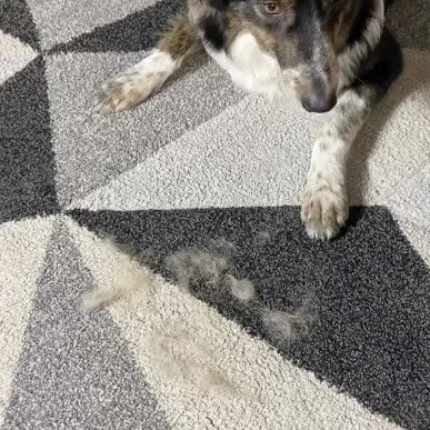 The MrBrushy™ - Pet Hair Removal Gloves Buy 1 Get 1 Free